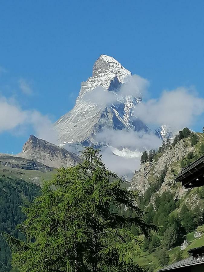Petit Helvetia Budget Hotel Zermatt Zewnętrze zdjęcie